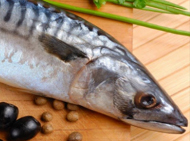 Skumbrija